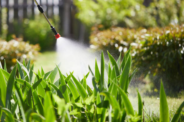 Tamper-Resistant Bait Stations for Rodents in Fairfield