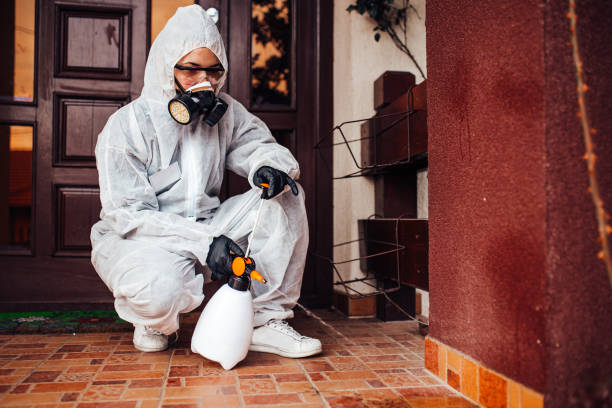 Attic and Crawl Space Rodent Treatment in Fairfield