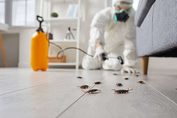 Commercial Rodent Management in Fairfield